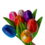 Boeket houten tulpen (10,20 of 30stuks)