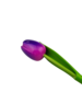  Wooden tulip purple on stem with leaf 30cm