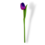 Wooden tulip purple on stem with leaf 30cm