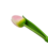 Houten tulp roze op steel met blad 30cm