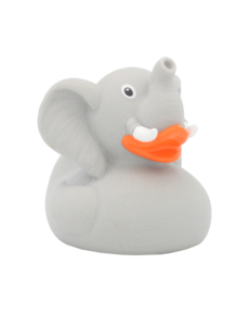  Badeend - olifant - Duck