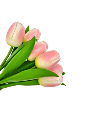 Boeket roze tulpen r/w (10,20 of 30stuks)
