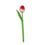 TRAA Wooden tulip with logo/text