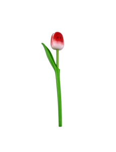 TRAA Wooden tulip on stem 33cm with logo/text