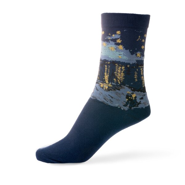 van gogh starry night socks - one size