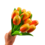 Bouquet of orange tulips r/w (10,20 or 30 pieces)