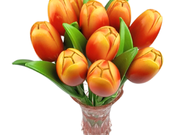 Tulips