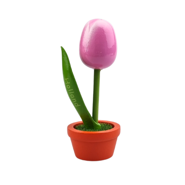 TRAA Tulp in pot