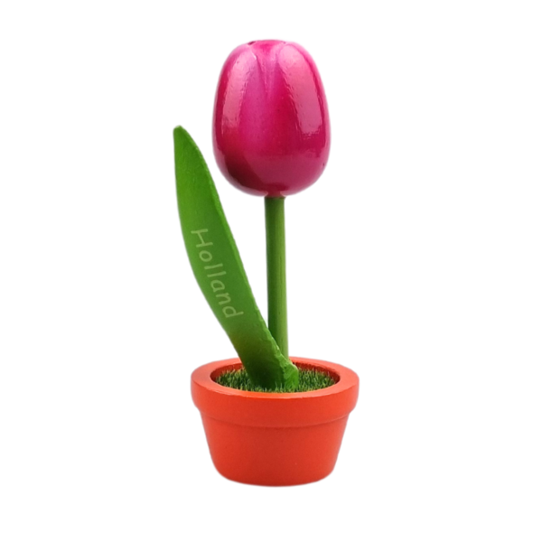 TRAA Tulp in pot