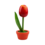 TRAA Tulp in pot
