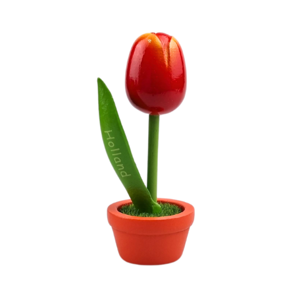 TRAA Tulp in pot