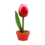 TRAA Tulp in pot