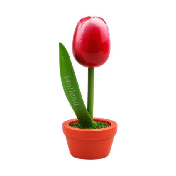 TRAA Tulp in pot
