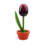 TRAA Tulp in pot