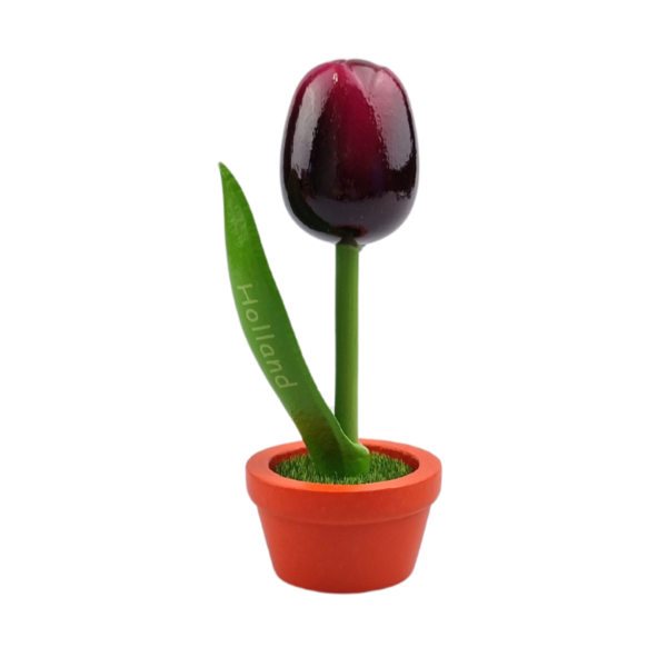 TRAA Tulp in pot