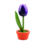 TRAA Tulp in pot