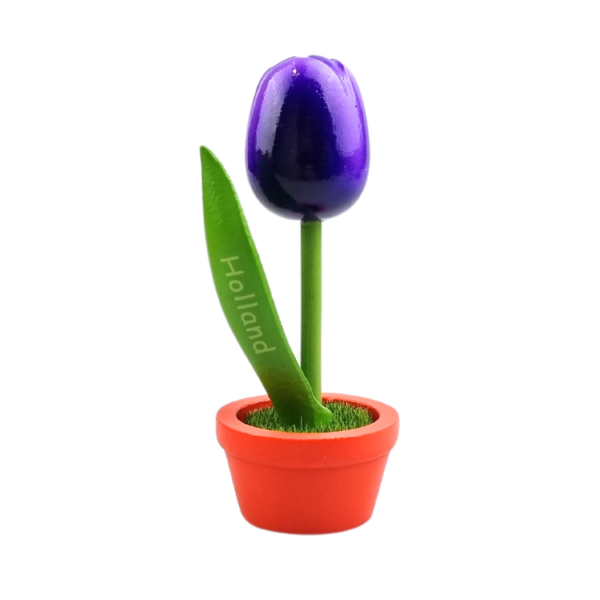TRAA Tulp in pot