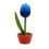 TRAA Tulp in pot