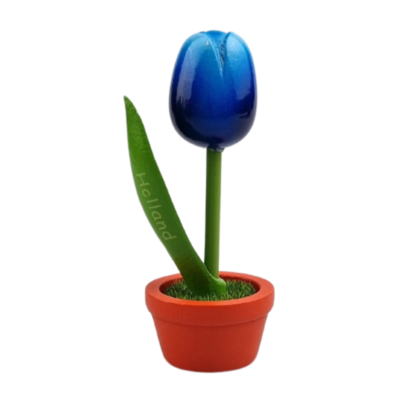 TRAA Tulp in pot