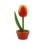 TRAA Tulp in pot
