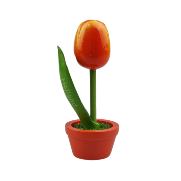 TRAA Tulp in pot