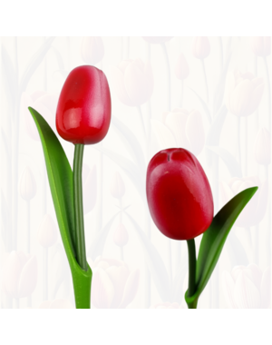 Holztulpe rot mit weiß auf Stiel mit Blatt 30cm