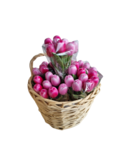  Boeket tulpjes 18cm lengte - roze tulpjes in mix