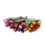 Bouquet of tulips 18cm length - red/orange tulips in mix
