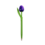 TRAA Tulip pen Holland - choose your own color