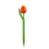 TRAA Tulip Pen Holland - wählen Sie Ihre eigene Farbe
