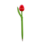 TRAA Tulip Pen Holland - wählen Sie Ihre eigene Farbe