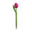 TRAA Tulip Pen Holland - wählen Sie Ihre eigene Farbe