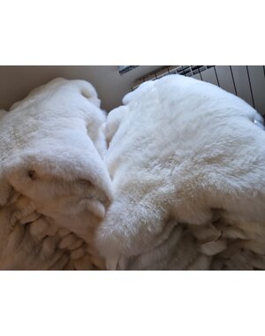 DINA Sheepskin white