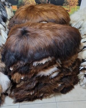 DINA Isländisches Feuerschaffell - 120 cm