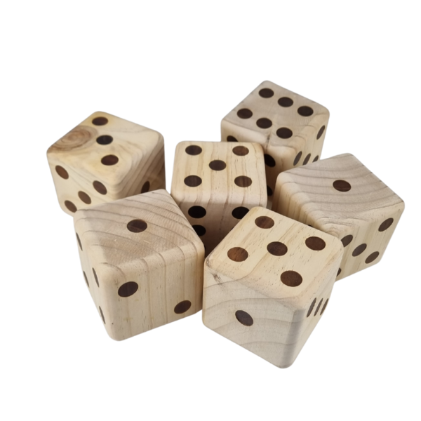 six wooden dice in black carrying bag