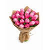 20 tulpen