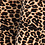 Dames Legging Panterprint – Leopard Print – 2 Kleuren