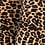 Women's Leggings Panther Print – Leopard Print – 2 Colors