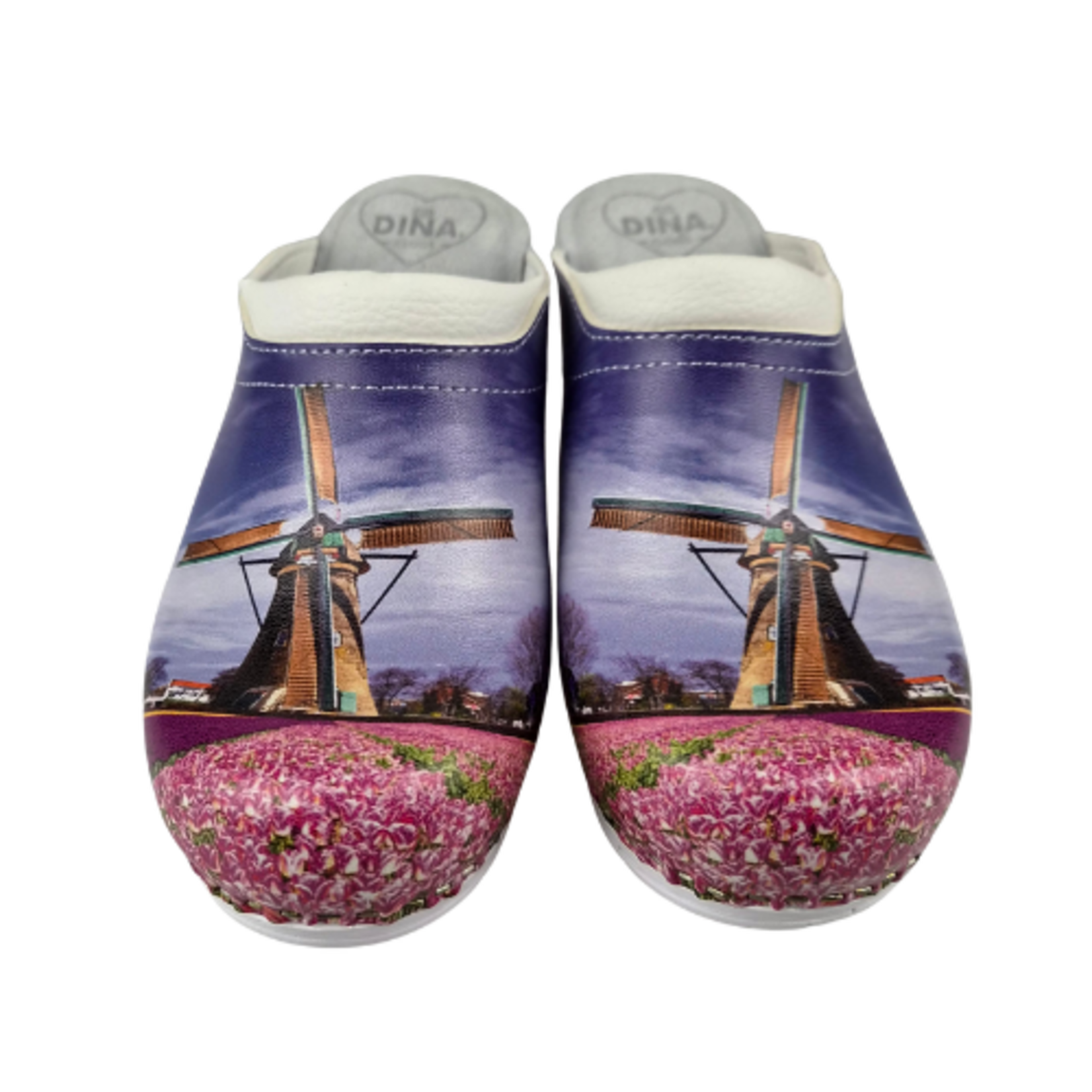 DINA Medical clogs - Windmill Holland - Dina