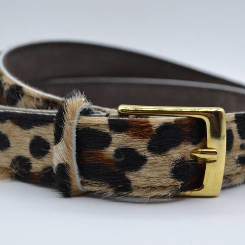 3cm brede luipaard printriem met gouden gesp 