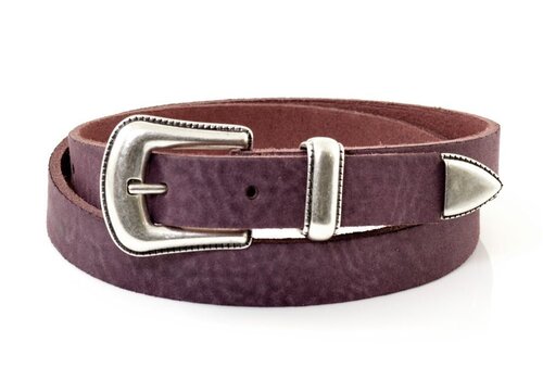 Kidzzbelts Kidzzbelt paarse riem.