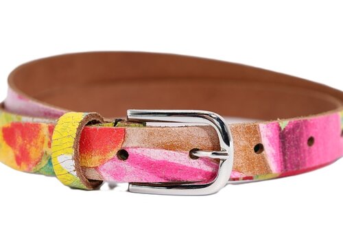 Rock 'n Rich 2cm brede kleurrijke riem met zilveren subtiele  gesp. Rock 'n Rich 2cm brede kleurrijke riem met zilveren subtiele  gesp.