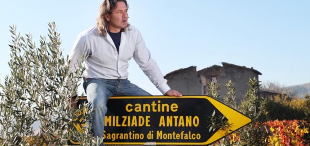 Fattoria Colleallodole