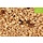 Muesli crunchy biologisch