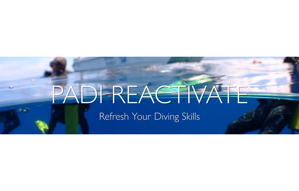 PADI ReActivate