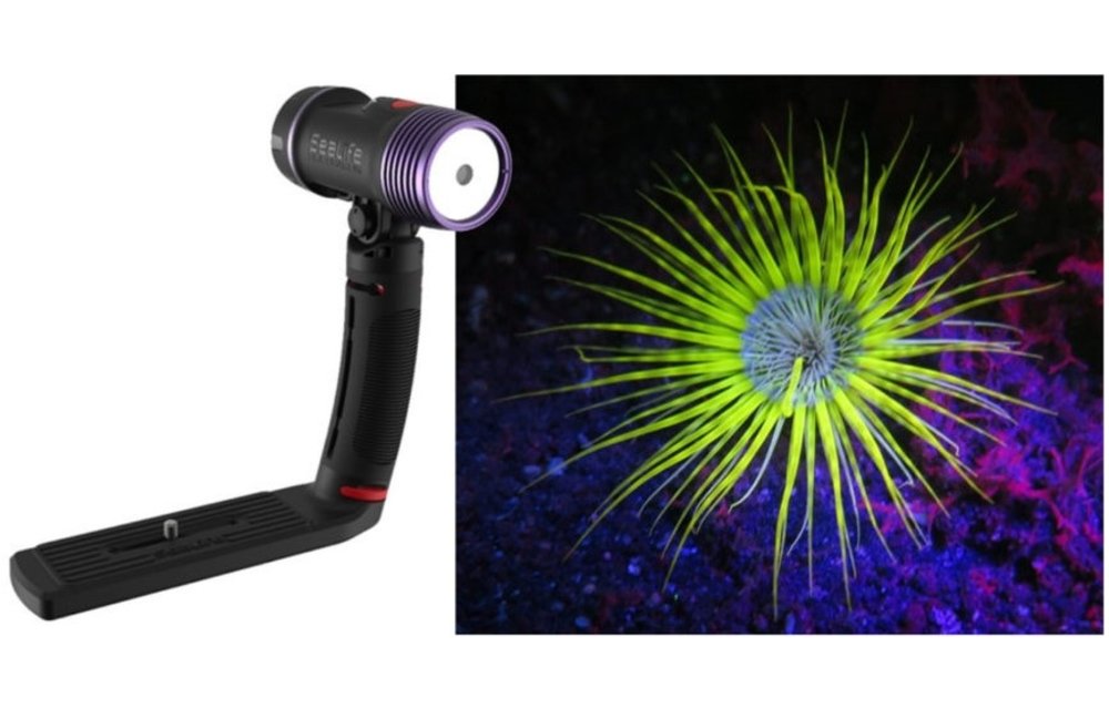 Sea Dragon Fluoro-Dual Beam Lamp Set