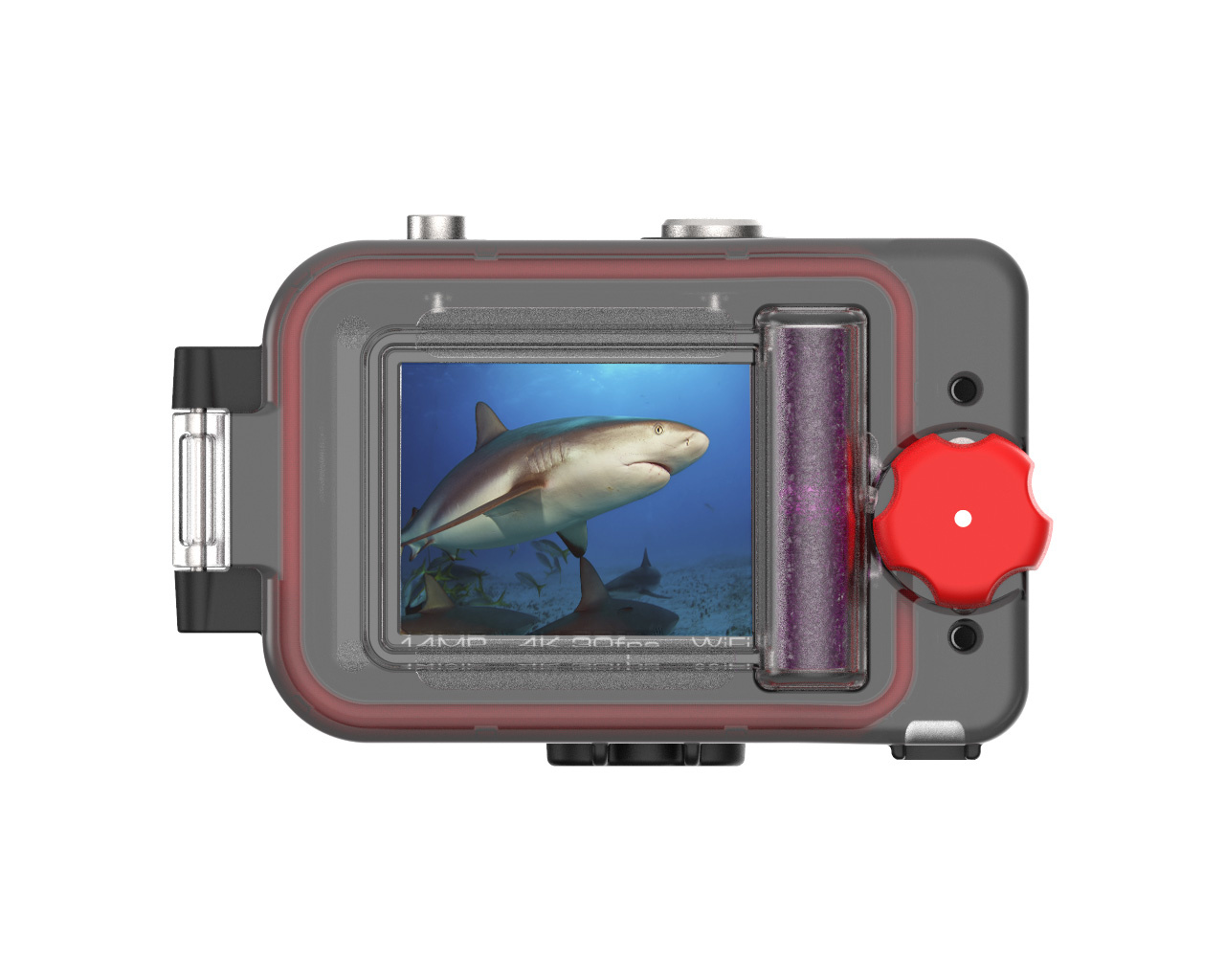 reefmaster sealife camera rm 4k