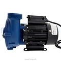 Gecko GECKO circulation pump MAELSTROM CMS-1