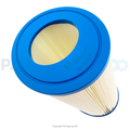 SPAS FILTERS SPAS13 FILTERS REFERENTIES PDM30, SC817, 61269, DM30