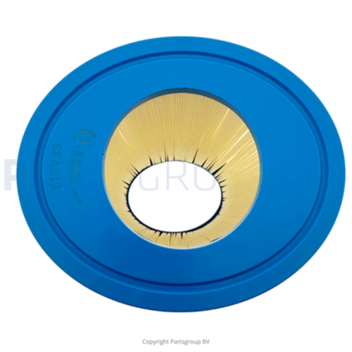 SPAS FILTERS SPAS13 FILTERS REFERENTIES PDM30, SC817, 61269, DM30